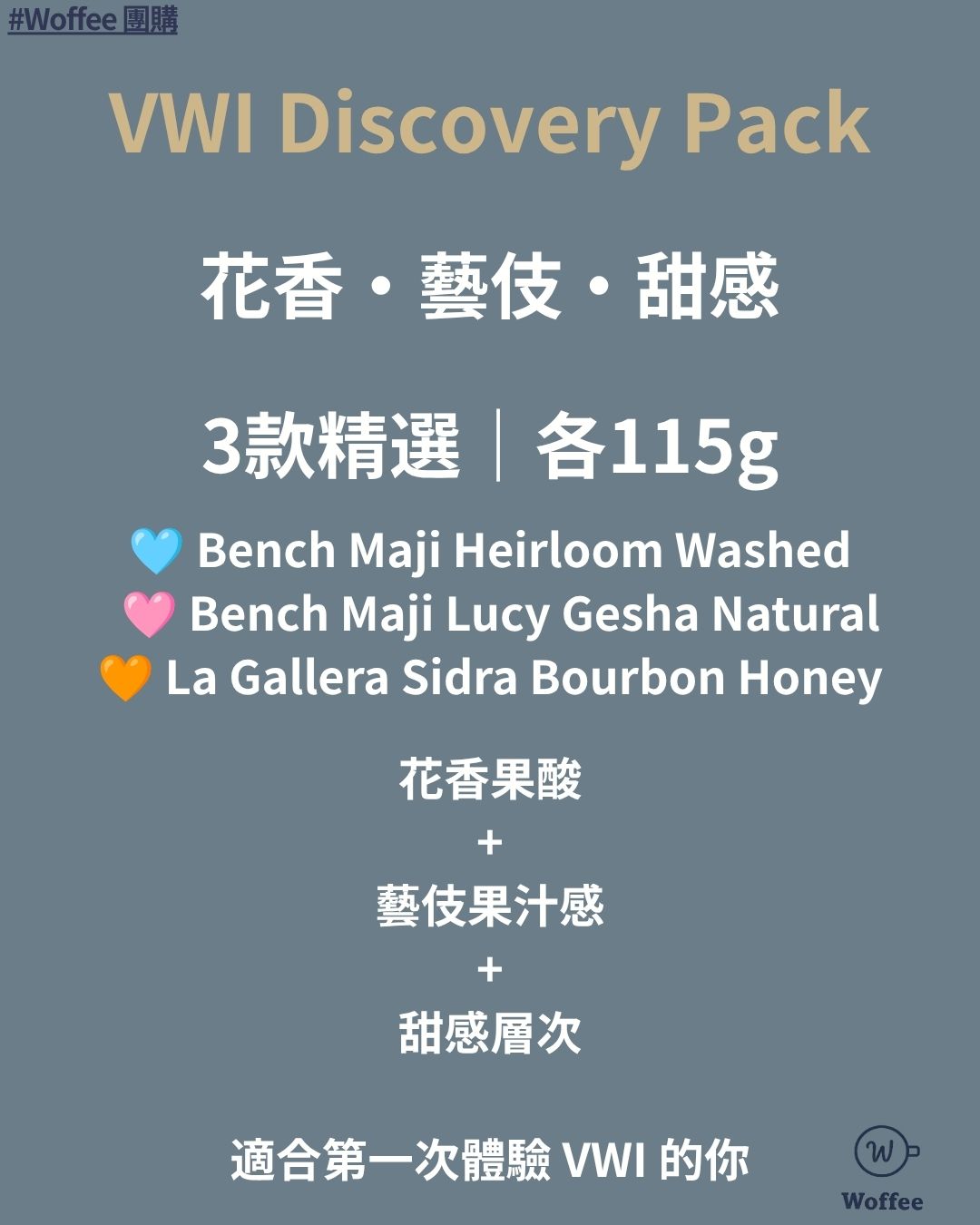 VWI Discovery Pack | 3 Selected Tasting Set (115g x 3) (Valued at HK$644)